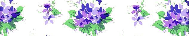 violets - Copy